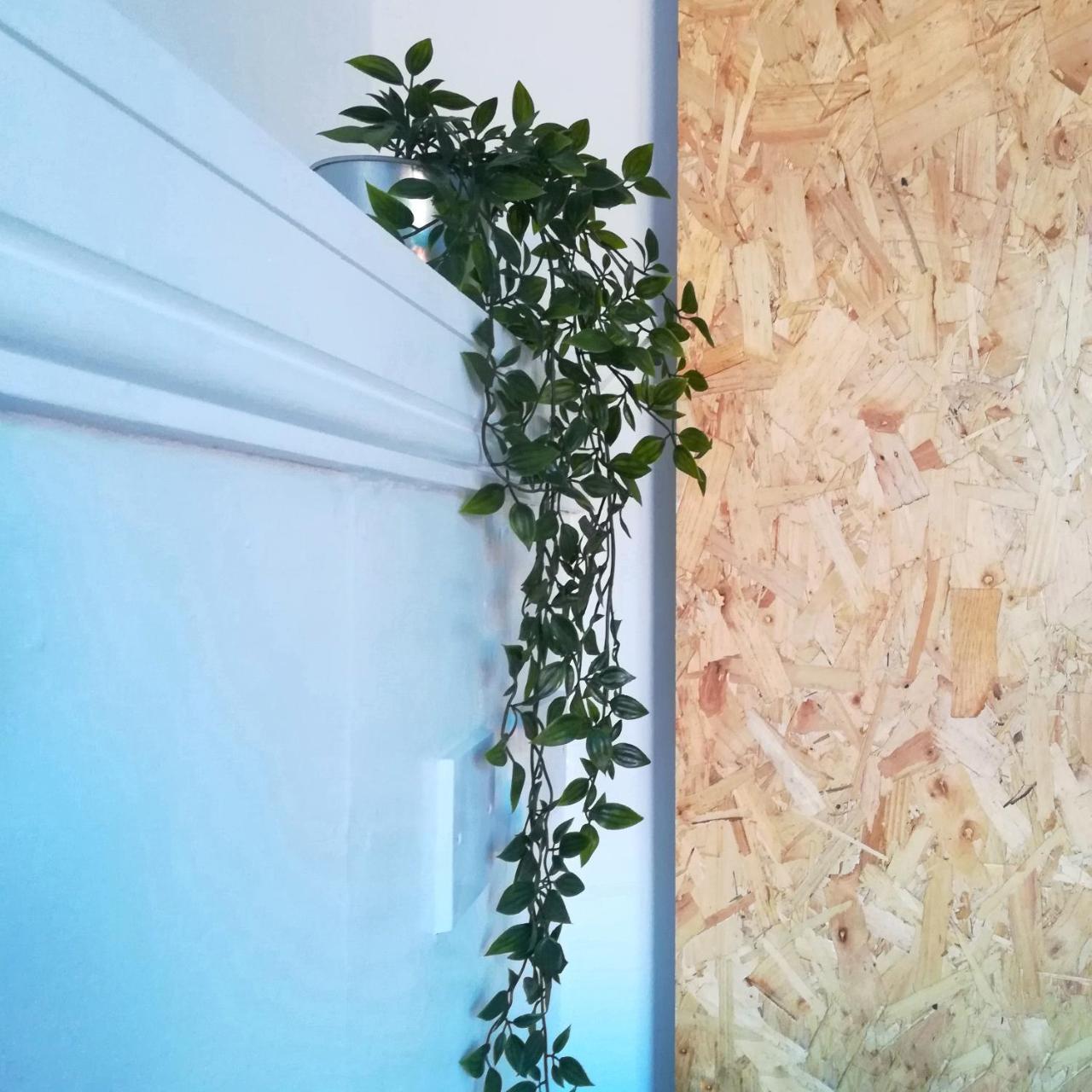The Blue Mantle Bed and Breakfast Ουέλινγκτον Εξωτερικό φωτογραφία